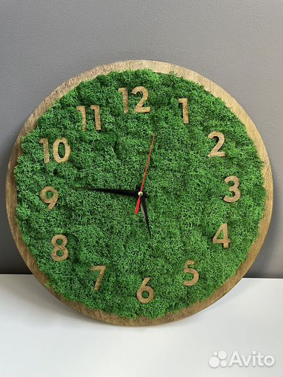 Часы со стабилизированным мхом