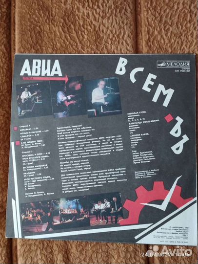 Виниловые пластинки