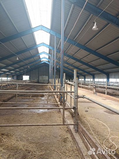 Продам ангар, металлоконструкций ферму крс