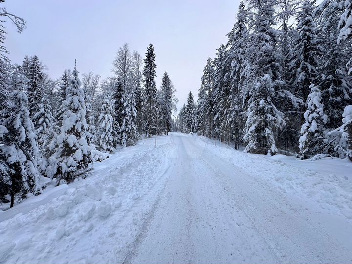 Участок 8,6 сот. (СНТ, ДНП)