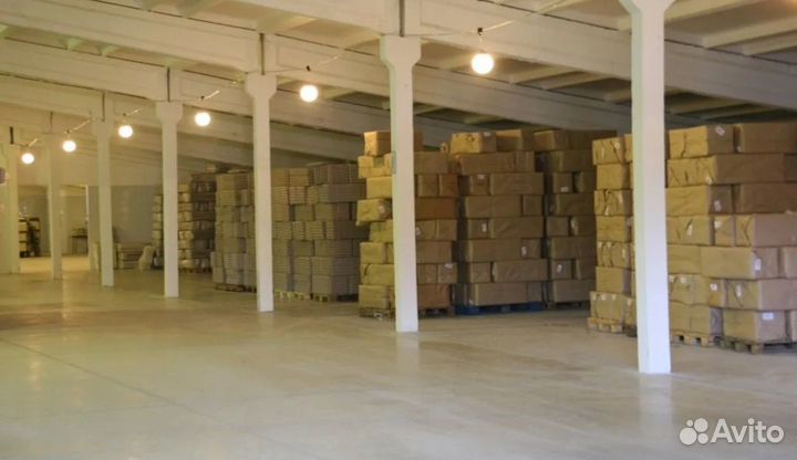 Инкубационное яйцо бройлера росс 308,кобб 500