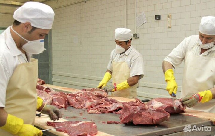 Работа разнорабочим на мясокомбинате(Вахта)