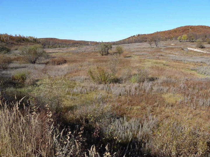 Участок 21,8 га (СНТ, ДНП)