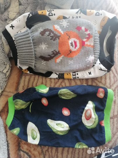 Одежда для кошек сфинкс