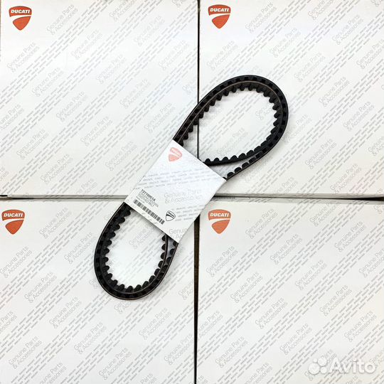 Ремни грм Ducati 73710051A