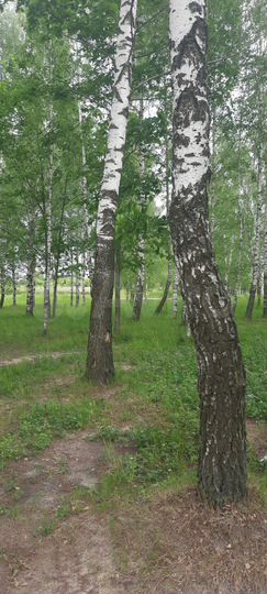 2-к. квартира, 52 м², 2/2 эт.