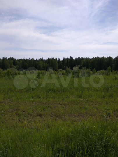 Участок 18 сот. (СНТ, ДНП)