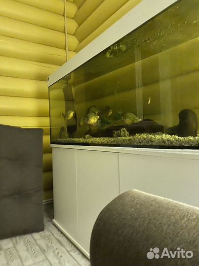 Грунт для аквариума