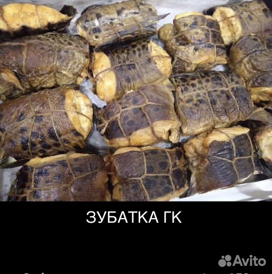 Рыба холодного и горячего копчения