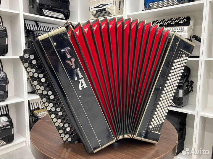 Баян цельнопланочный Тула