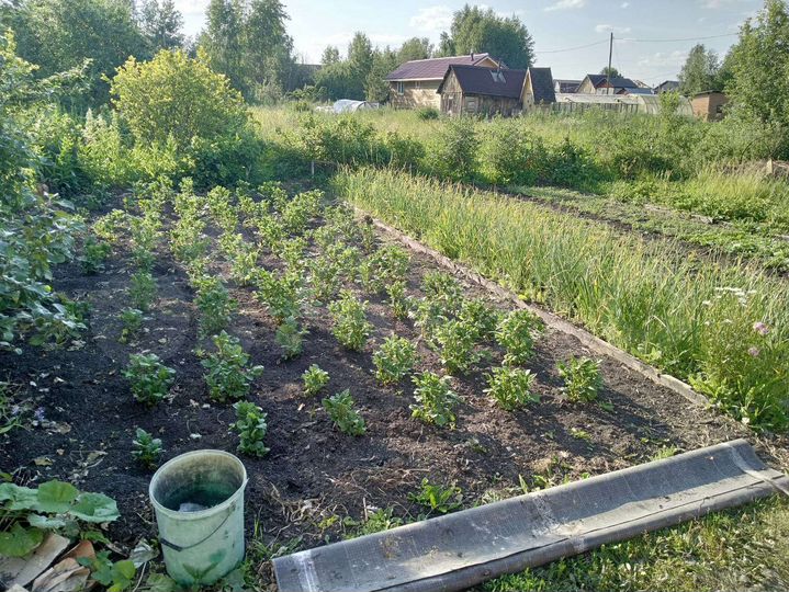 Дом 36 м² на участке 8,8 сот.