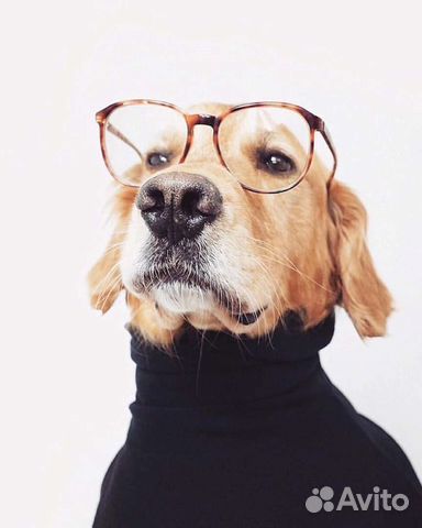 Промокод Lab4u медицинские анализы