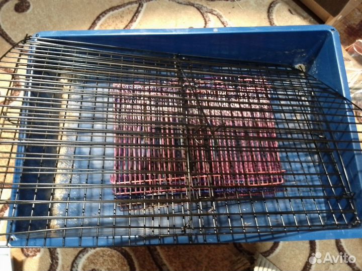 Клетка для грызунов большая