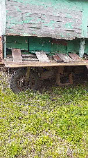 Пчелы и улья