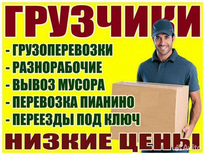 Грузчики на час разнорабочие