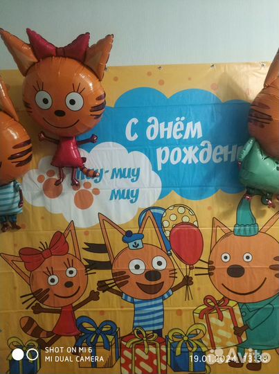 Баннер Три кота