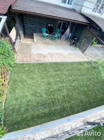 Рулонный газон для небольшого участка