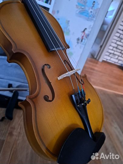 Скрипка 1/2