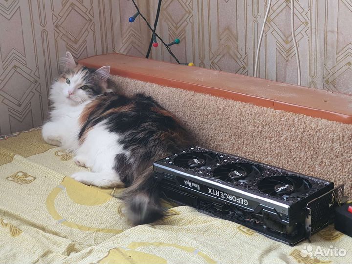 Скупка компьютерной техники, ремонт, установка по