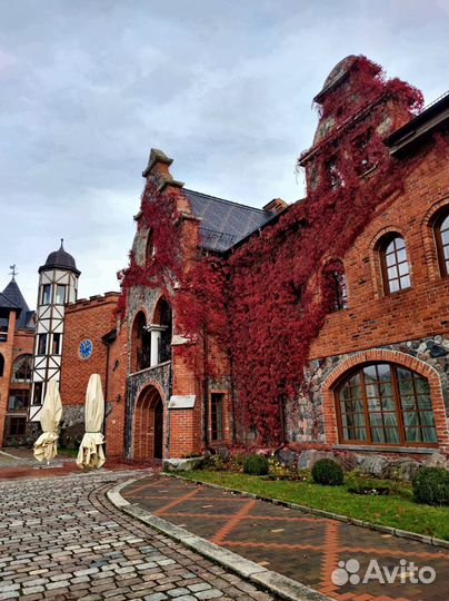 Туры сборные экскурсионные в Калининград