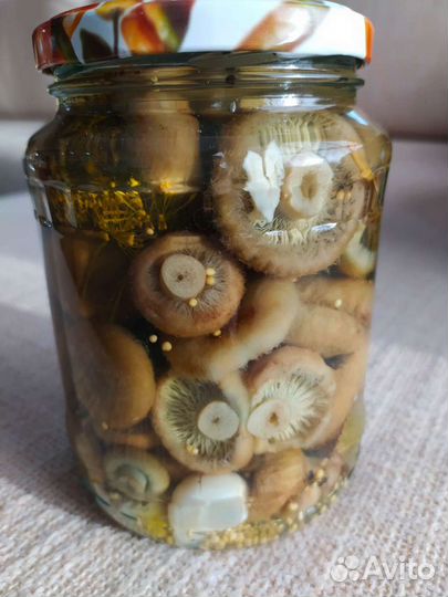 Грибы маринованные