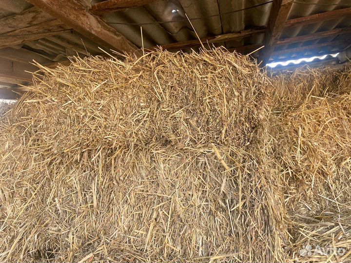 Сено в тюках