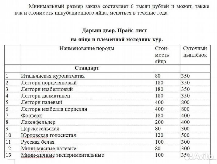 Яйцо цыплята о-шамо