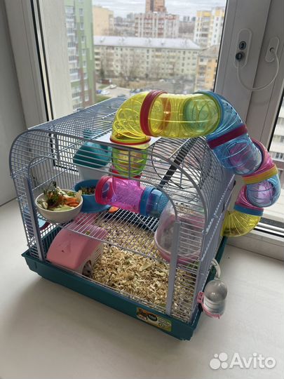 Клетка для джунгарского хомяка