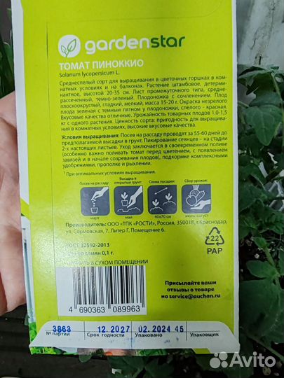 Рассада балконных помидор Бонсай, Пиноккио