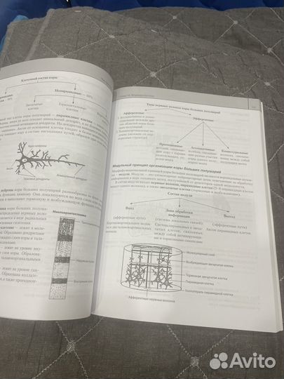 Наглядная гистология Л.Г. Гаструкова