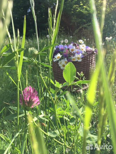 Корзина плетеная