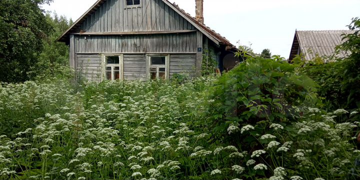 Участок 40 сот. (ИЖС)