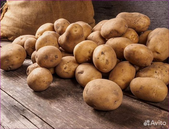 Продам картофель