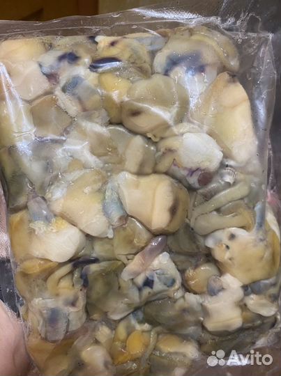 Мясо рапана сырое