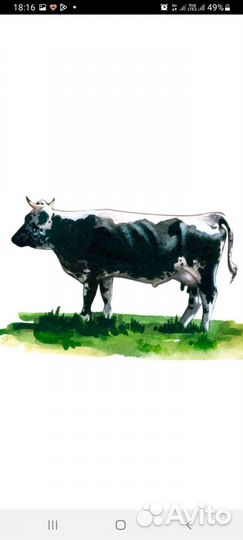 Корова