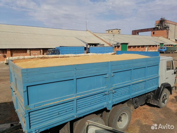 Зерновозы Перевозка зерна, Камазы