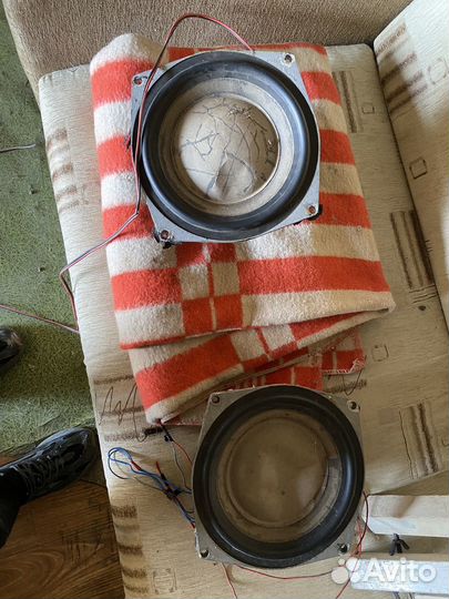 Динамики 75 гдн