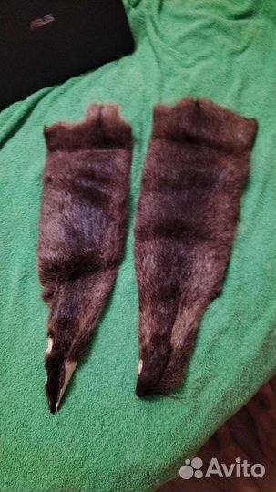 Шкурки нутрии