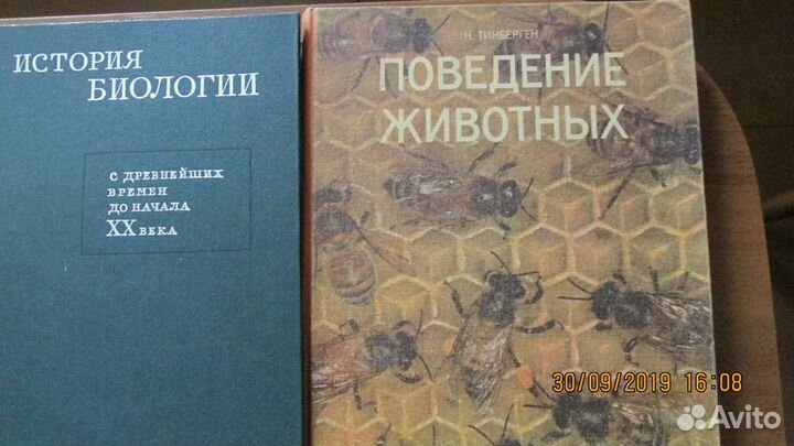 Книги о животных