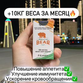 Bear/10кг/набор веса/аппетит