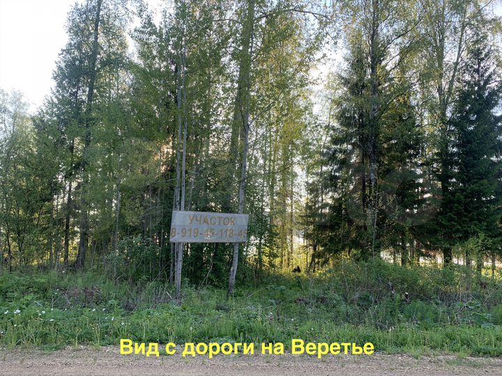 Участок 21 сот. (СНТ, ДНП)