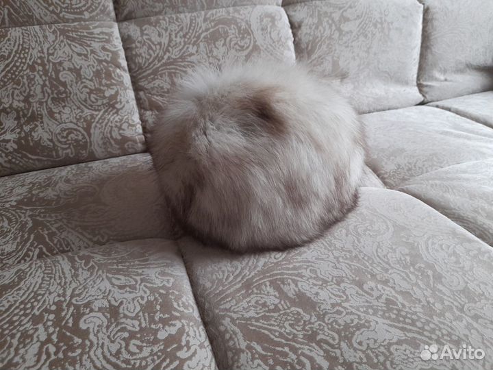 Шапка из песца