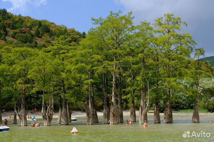 Экскурсии в Анапе