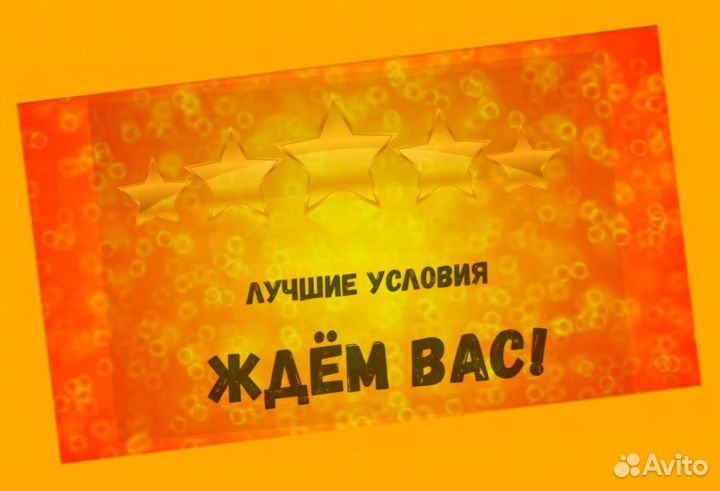 Наборщик заказов Без опыта Еженедельные выплаты