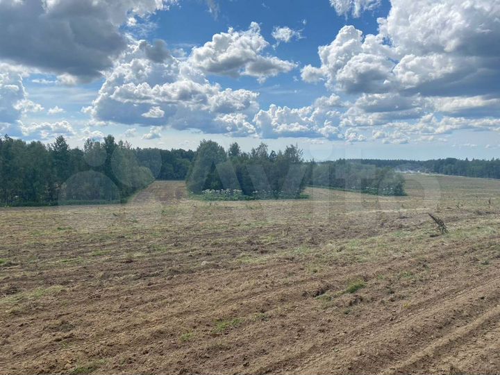 Участок 2,77 га (ИЖС)