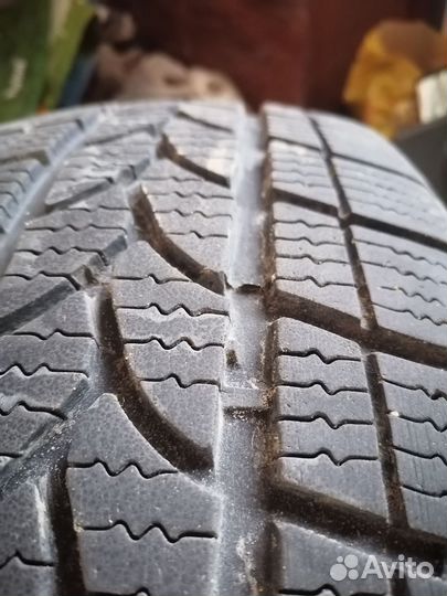 Tigar Winter 1 215/60 R16