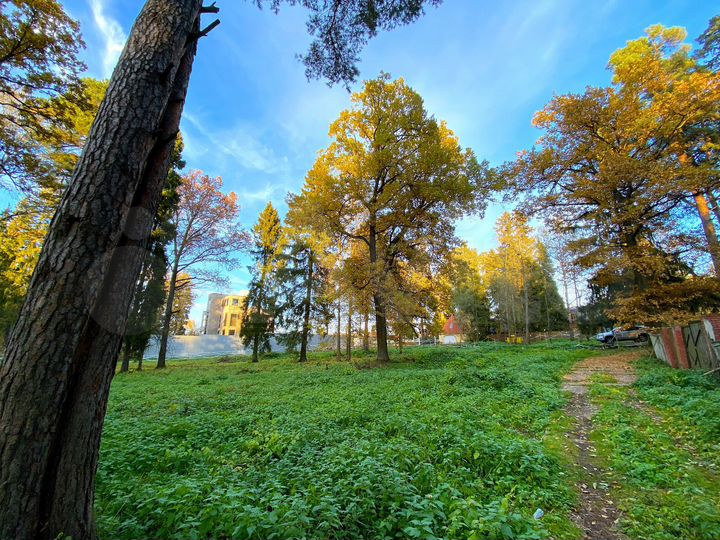Участок 1,5 га (ИЖС)