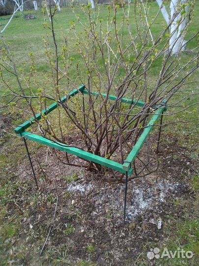 Ограждение для кустов