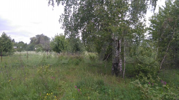 Участок 18 сот. (СНТ, ДНП)