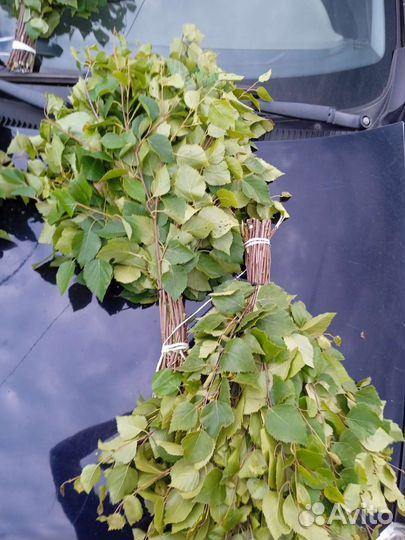 Веники для бани